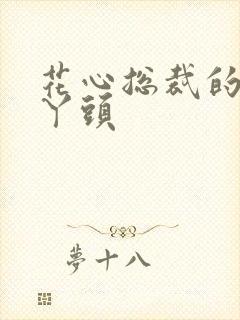 花心总裁的小小丫头