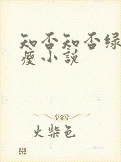 知否知否绿肥红瘦小说