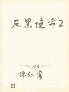 反黑使命2