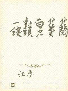 一对白花花的大馒头免费阅读