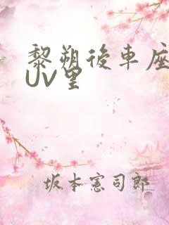 黎朔后车座上SUV里