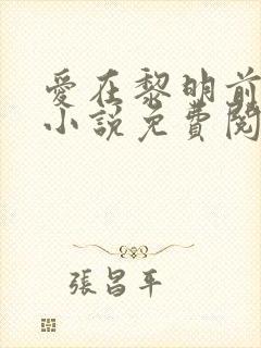 爱在黎明前降落小说免费阅读