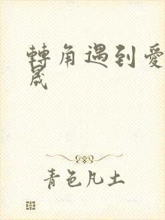 转角遇到爱 李晟