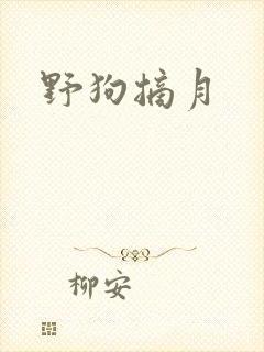 野狗摘月