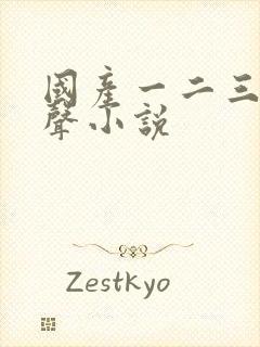 国产一二三区有声小说