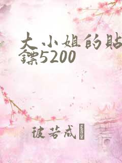 大小姐的贴身保镖5200