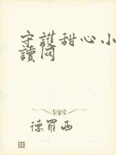 守护甜心小说阅读网