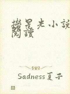 捞星光小说免费阅读