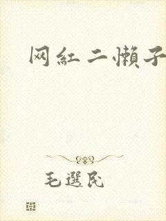 网红二懒子车祸