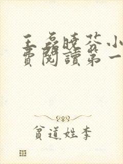 王磊晓芬小说免费阅读第一章