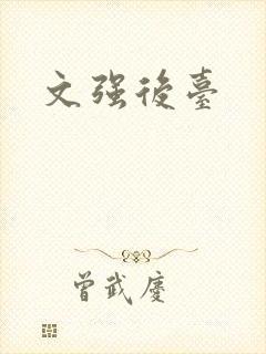 文强后台