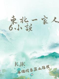 东北一家人1一6小说