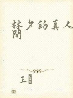 林夕的真人娃娃间