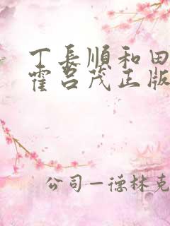 丁长顺和田晓兰霍吕茂正版