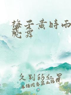 梅子黄时雨流光飞舞