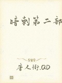 暗刺第二部