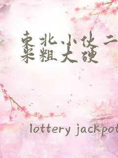 东北小伙二十厘米粗大硬