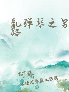 乱弹琴之另一条路