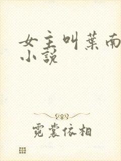 女主叫叶南初的小说