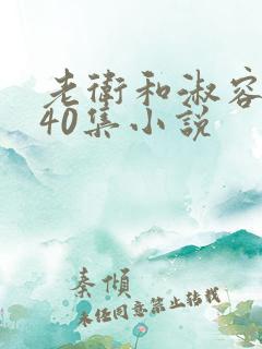 老卫和淑容1-40集小说