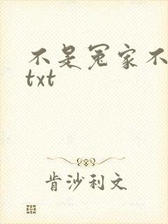 不是冤家不聚头txt