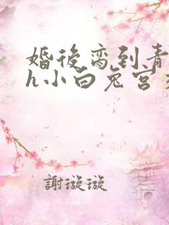 婚后脔到青梅哭h小白兔宫交h