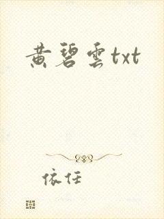 黄碧云txt