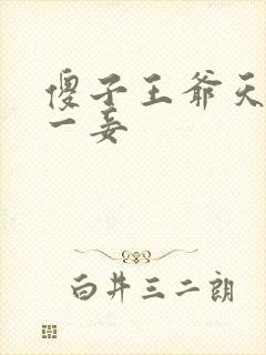 傻子王爷天下第一妾