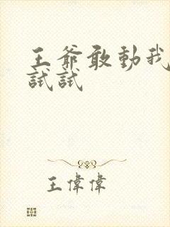 王爷敢动我妈咪试试