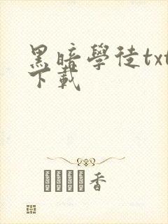 黑暗学徒txt下载