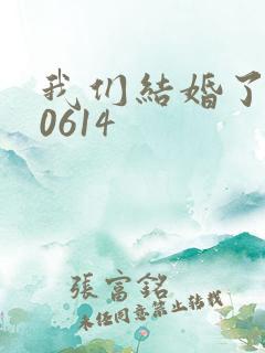 我们结婚了130614
