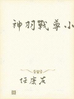 神羽战尊小说