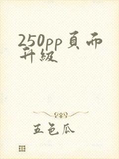 250pp页面升级