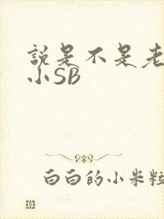 说是不是老公的小SB