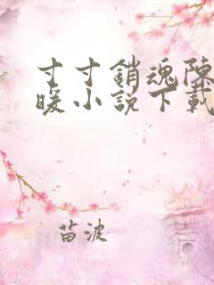 寸寸销魂陈聪王暖小说下载