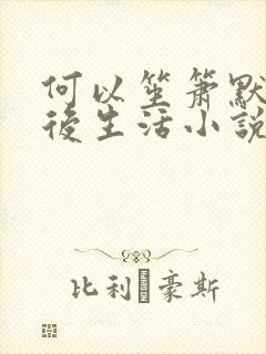 何以笙箫默之婚后生活小说