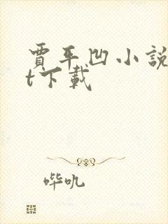 贾平凹小说txt下载