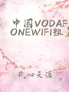 中国VODAFONEWIFI粗暴APP