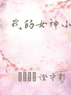 我的女神小说