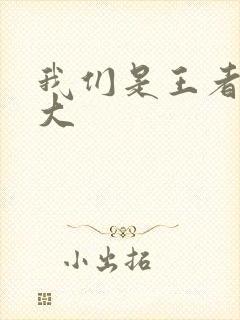 我们是王者立海大