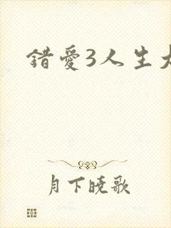 错爱3人生大事