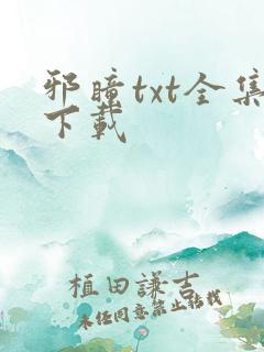 邪瞳txt全集下载