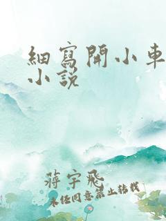 细写开小车车的小说