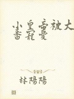 小皇帝被大臣轮番宠爱