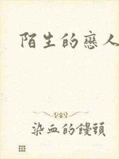 陌生的恋人小说