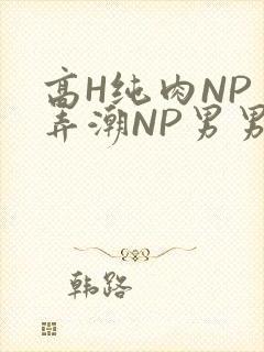 高H纯肉NP 弄潮NP男男
