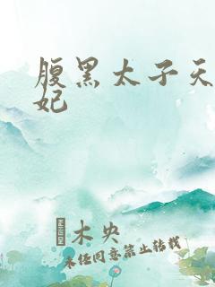 腹黑太子天降萌妃