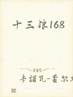 十三狼168
