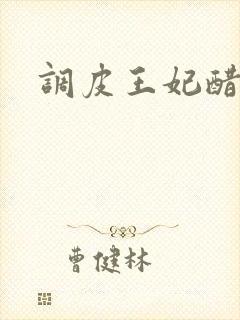 调皮王妃醋王爷