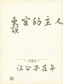 东宫的主人 小说